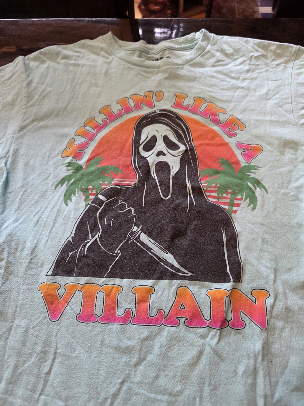 Graphic 'Villain' Short Sleeve Tee in Light Mint